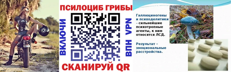 где можно купить   Каменск-Шахтинский  Псилоцибиновые грибы ЛСД 