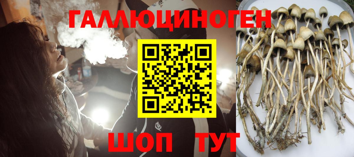 Галлюциногенные грибы Magic Shrooms Каменск-Шахтинский