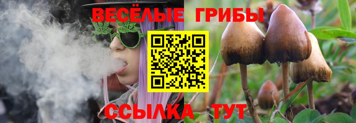 Псилоцибиновые грибы прущие грибы  Псилоцибиновые грибы мухоморы  Каменск-Шахтинский 