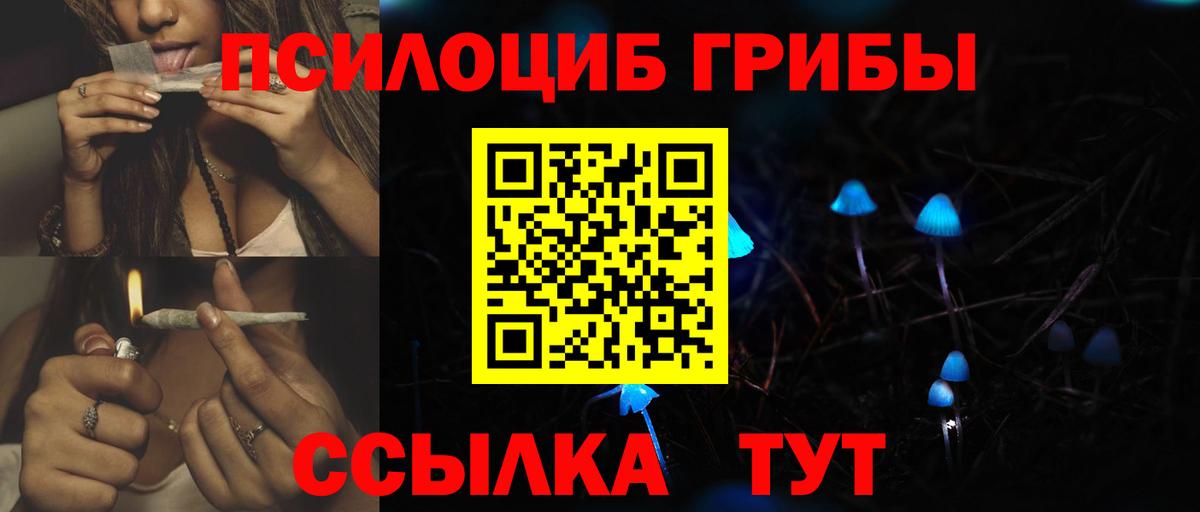Галлюциногенные грибы Psilocybe Каменск-Шахтинский