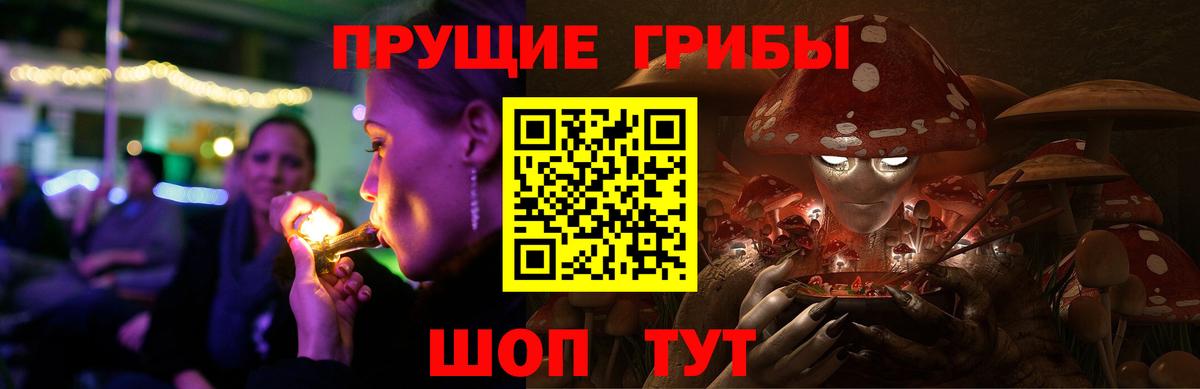 Каменск-Шахтинский  Псилоцибиновые грибы MAGIC MUSHROOMS  Вход с VPN  Псилоцибиновые грибы Magic Shrooms 